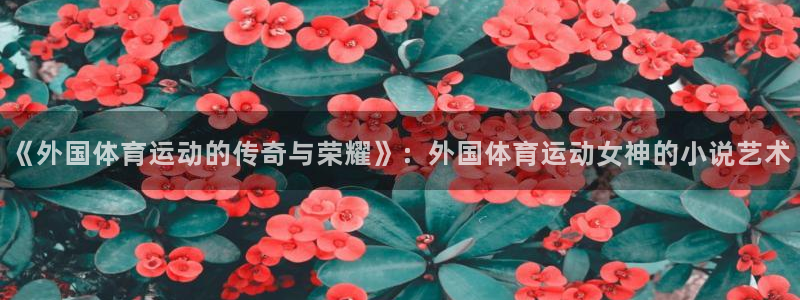 三亿体育网页版