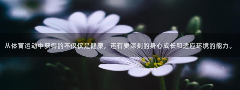 三亿体育网页版