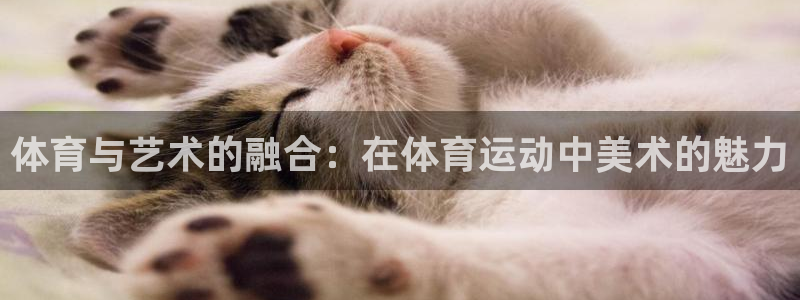 三亿体育