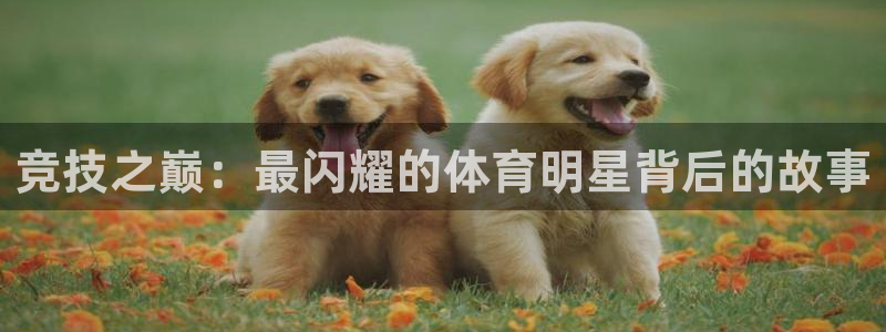 三亿体育网页版：竞技之巅：最闪耀的体育明星背后的故事