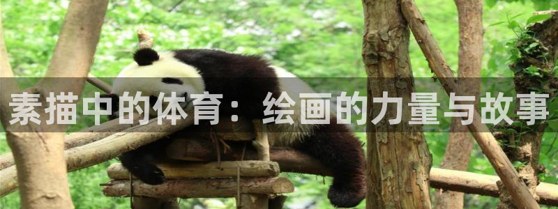 三亿体育网：素描中的体育：绘画的力量与故事