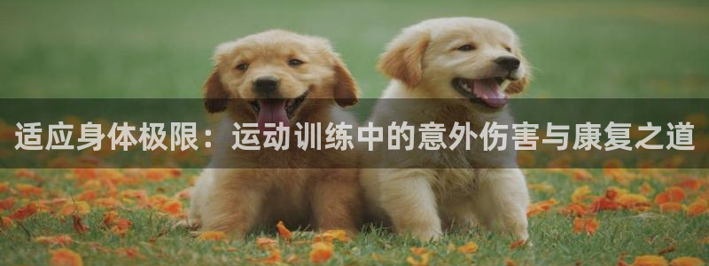 三亿体育