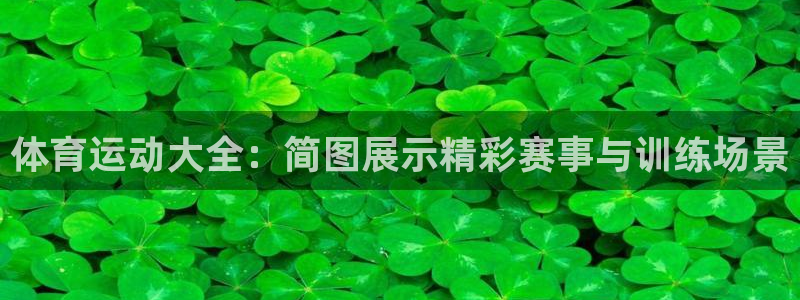 三亿体育网：体育运动大全：简图展示精彩赛事与训练场景