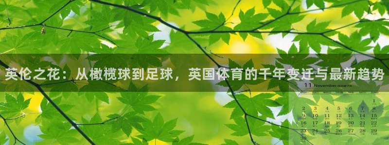 三亿体育网：英伦之花：从橄榄球到足球，英国体育的千年变迁与最新趋势