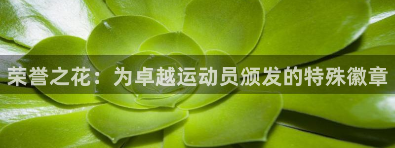 三亿体育登录：荣誉之花：为卓越运动员颁发的特殊徽章